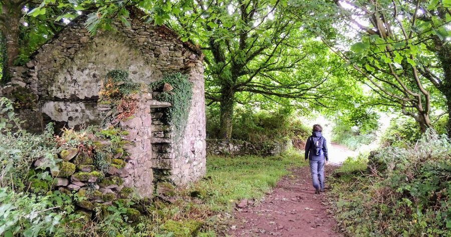 woman hiking the Dingle Way in Ireland