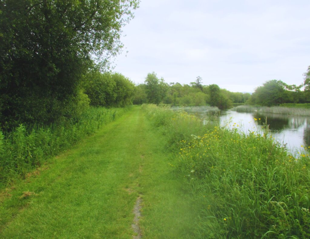 Grassy path along Barrow River between Borris and Graiguenamanagh