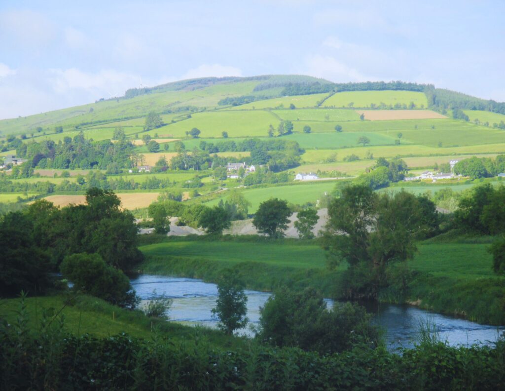 Fields along South Leinster Way near Kildavin